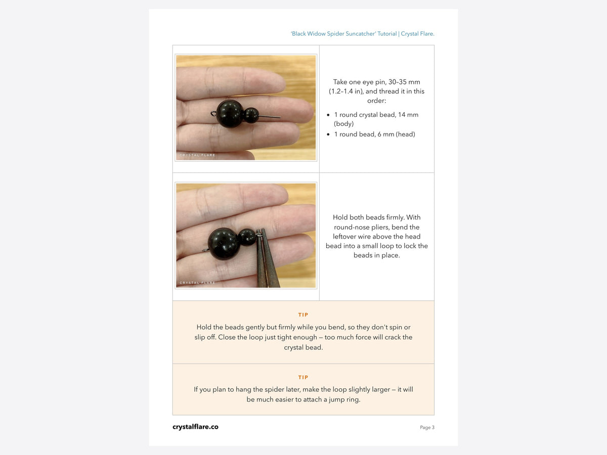 Sample inside page from the Black Widow Spider tutorial