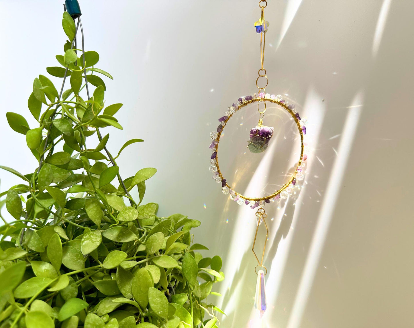 Delicate gemstone hoop suncatcher hanging by a sunny window next to cascading green plants, catching sunlight and casting soft rainbow flares on the white background.