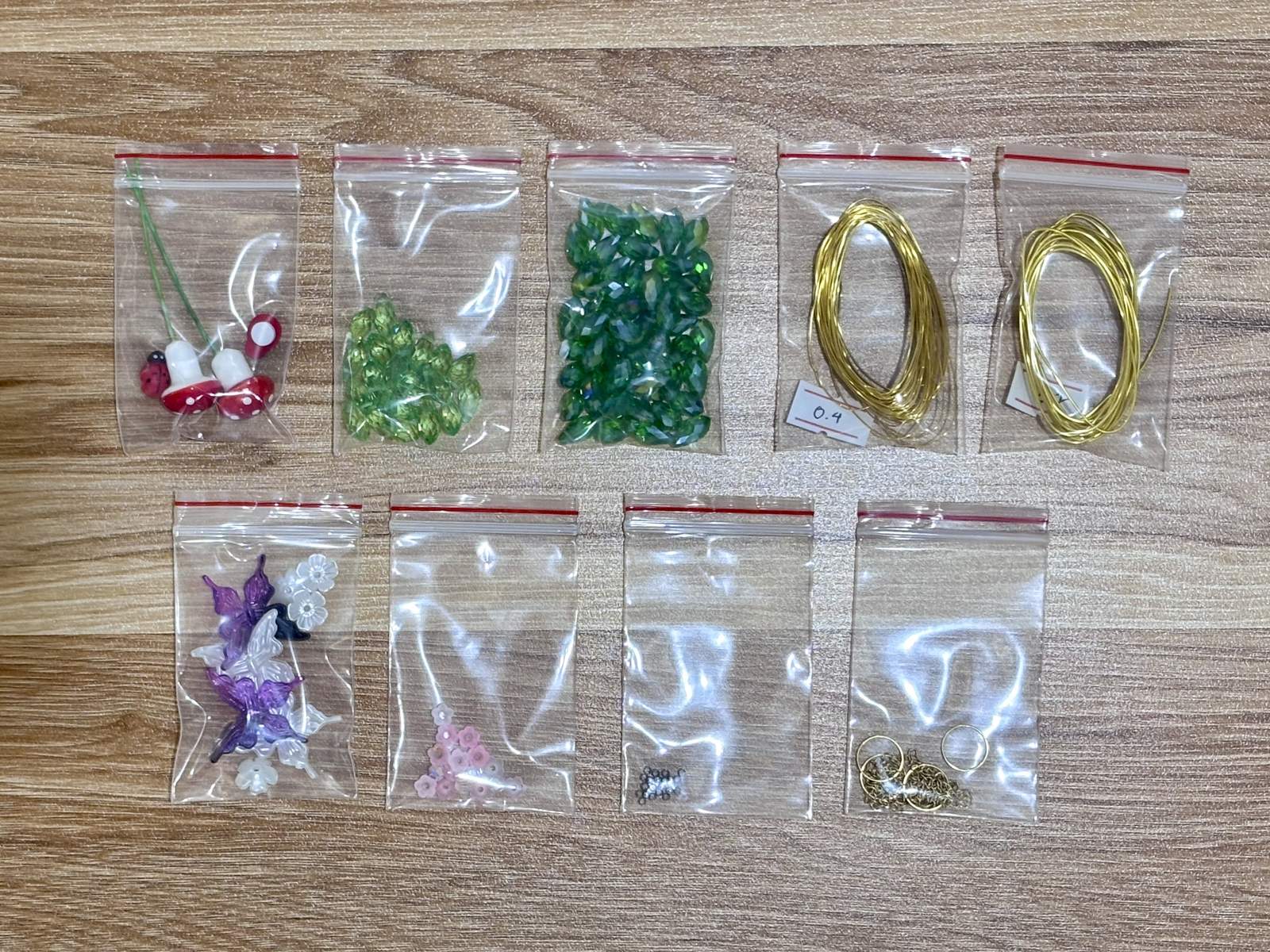 Plant Suncatcher DIY Kit - materials laid out
