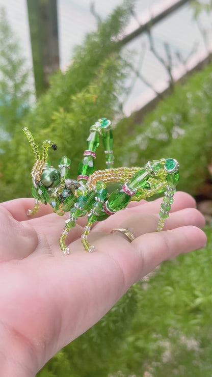 Grasshopper Suncatcher DIY Kit