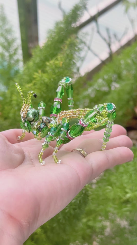 Grasshopper Suncatcher DIY Kit